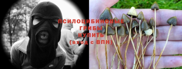 герыч Кулебаки
