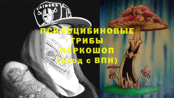герыч Кулебаки