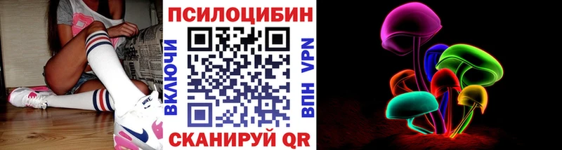 Купить где  Киселёвск  Галлюциногенные грибы Magic Shrooms 