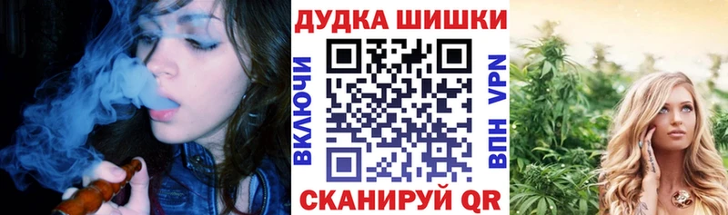 Бошки марихуана гибрид  Купить закладки  Киселёвск 